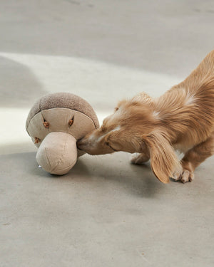 FORESTA DOG SNUFFLE TOYS SET |  סט צעצועי ריחרוח לכלבים