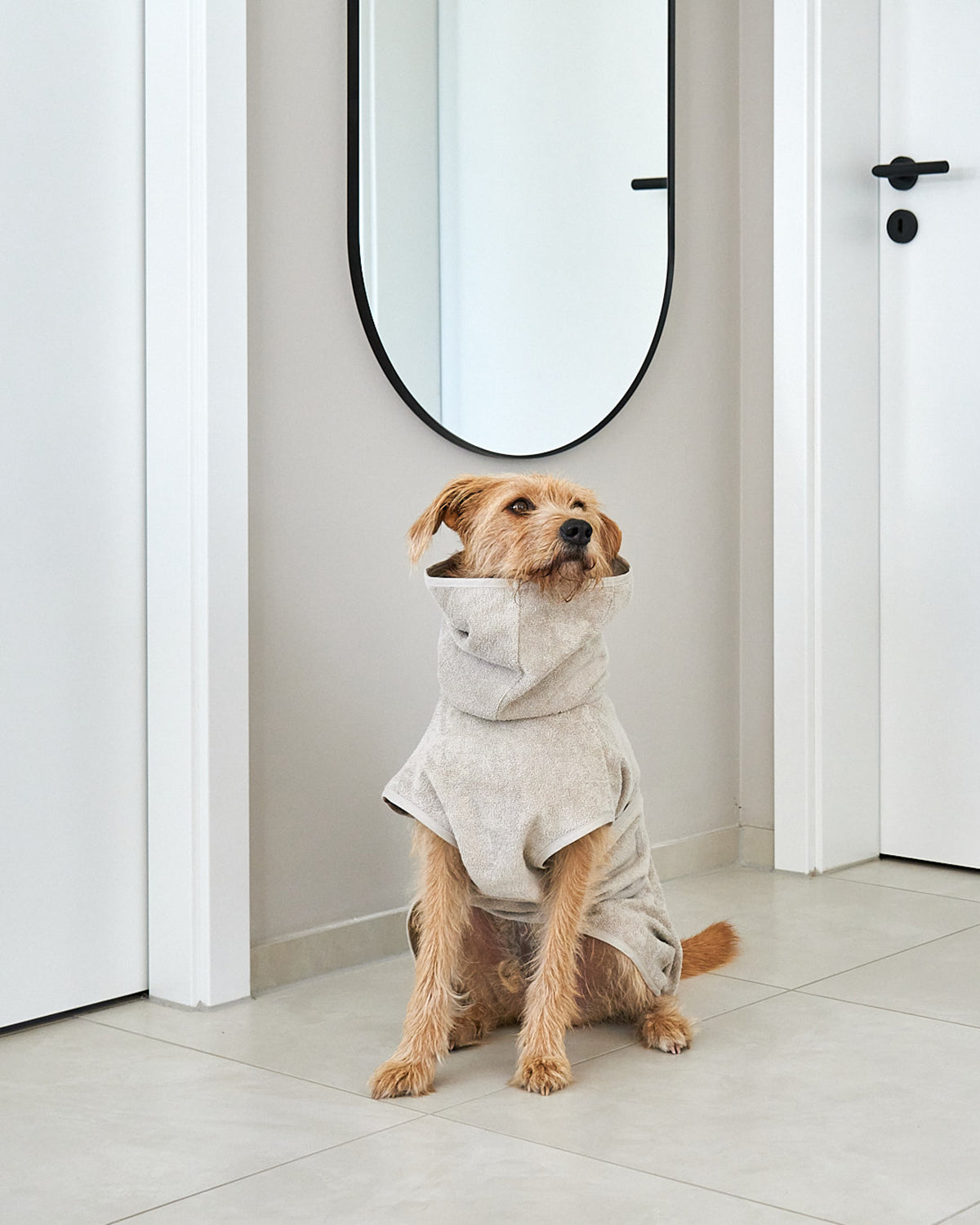 BAGNO DOG BATHROBE | חלוק רחצה לכלב