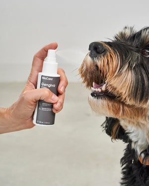 ספריי לטיפוח השיניים והחניכיים לכלב | GENGIVA DOG DENTAL SPRAY