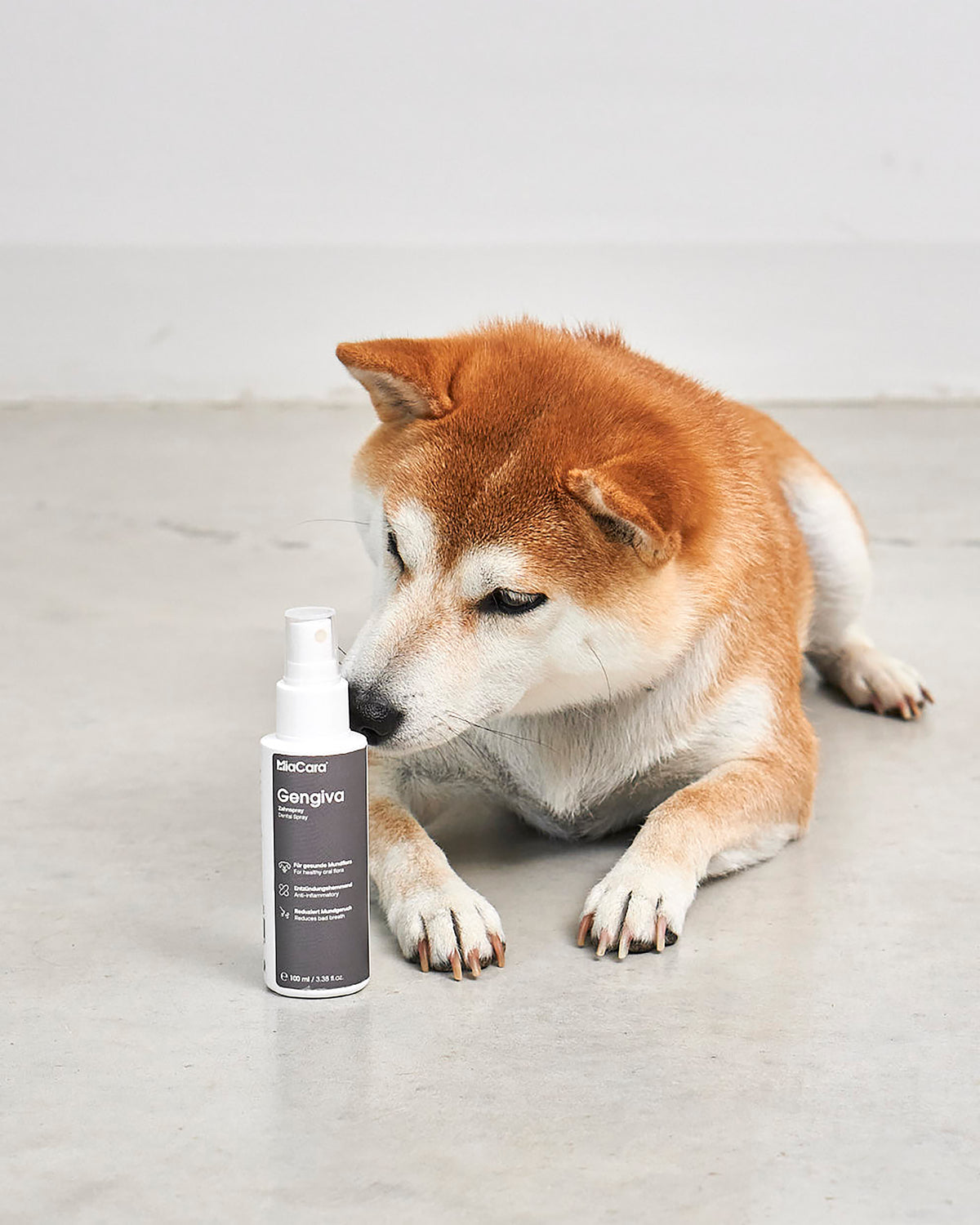 ספריי לטיפוח השיניים והחניכיים לכלב | GENGIVA DOG DENTAL SPRAY