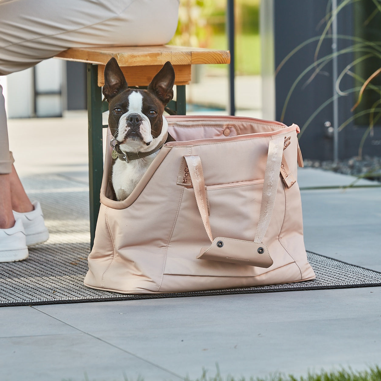 Dogs & Humans Bags