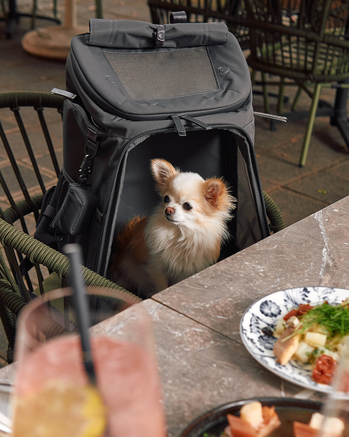 ZAINO DOG & CAT BACKPACK | תיק גב לנשיאה לכלבים ולחתולים