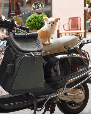ZAINO DOG & CAT BACKPACK | תיק גב לנשיאה לכלבים ולחתולים