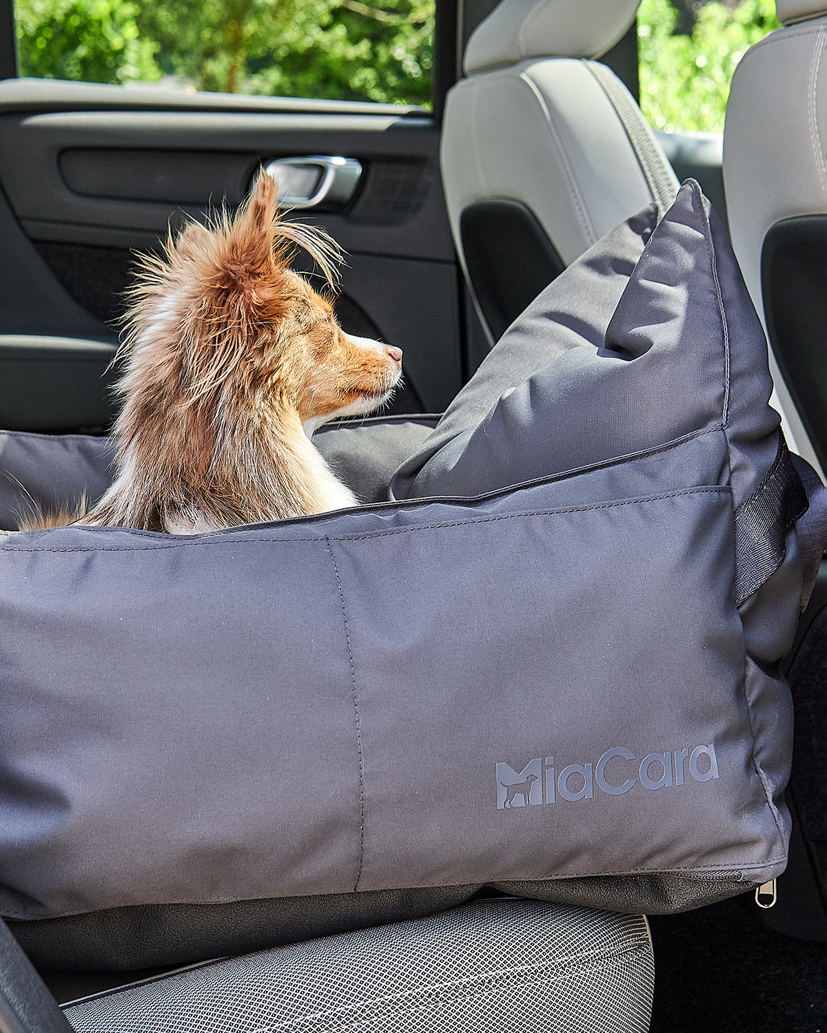 VIAGGIO DOG TRAVEL BED | מושב לרכב ומיטת טיולים לכלב