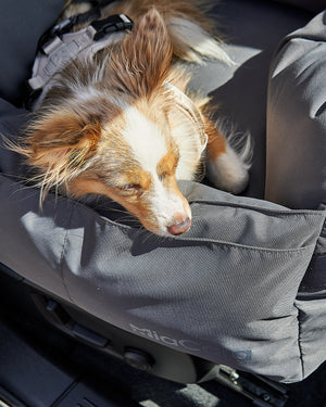 VIAGGIO DOG TRAVEL BED | מושב לרכב ומיטת טיולים לכלב