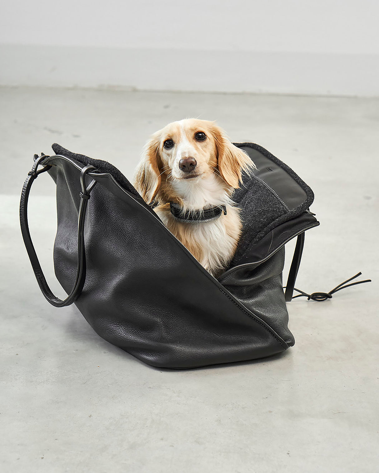 תיק נשיאה לכלב מעור אלגנטי | Borsa Dog Leather Carrier Bag