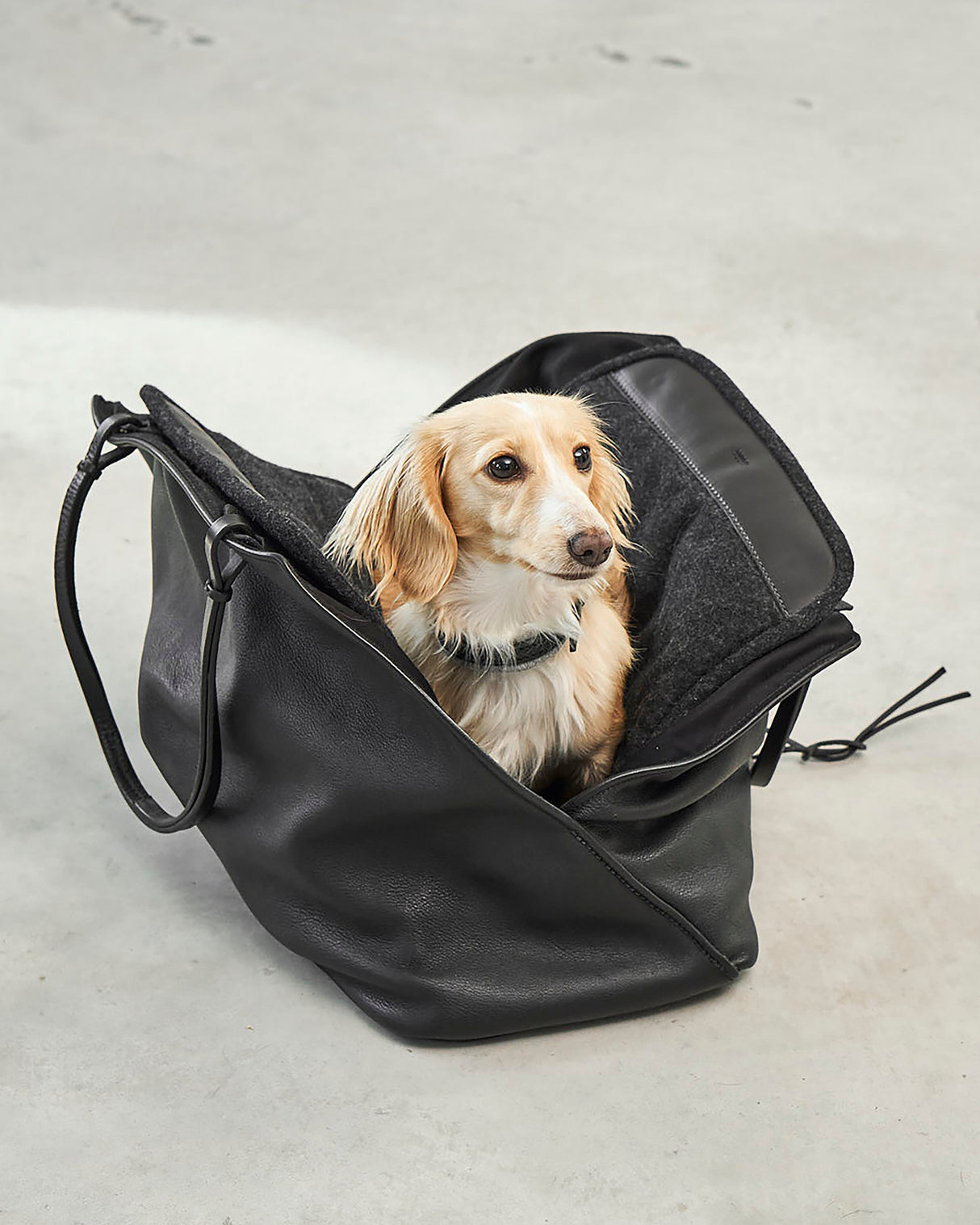 תיק נשיאה לכלב מעור אלגנטי | Borsa Dog Leather Carrier Bag