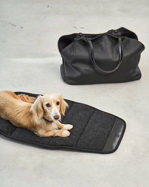 תיק נשיאה לכלב מעור אלגנטי | Borsa Dog Leather Carrier Bag