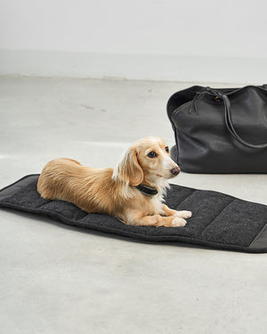 תיק נשיאה לכלב מעור אלגנטי | Borsa Dog Leather Carrier Bag