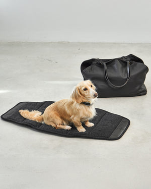 תיק נשיאה לכלב מעור אלגנטי | Borsa Dog Leather Carrier Bag