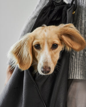 תיק נשיאה לכלב מעור אלגנטי | Borsa Dog Leather Carrier Bag