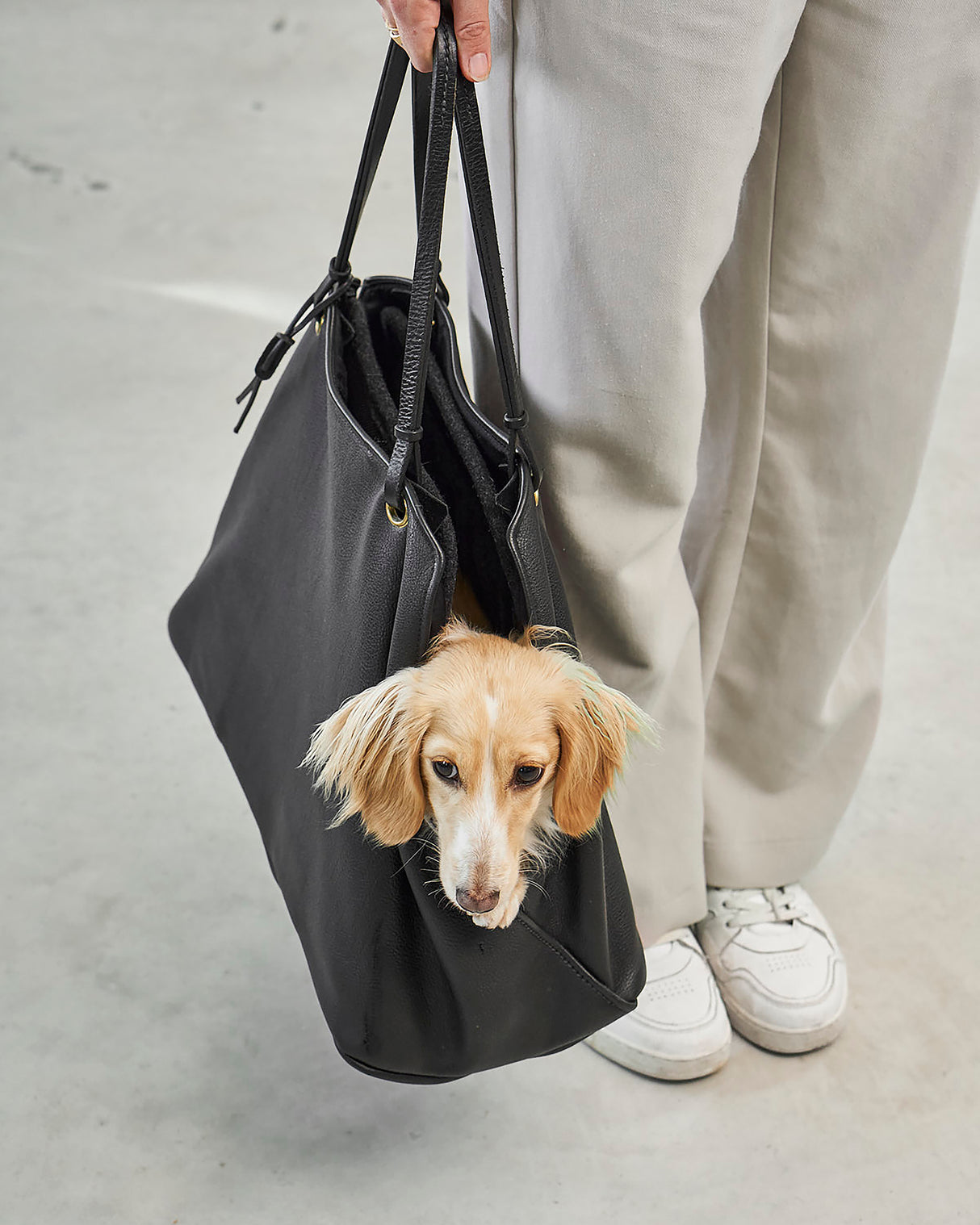 תיק נשיאה לכלב מעור אלגנטי | Borsa Dog Leather Carrier Bag
