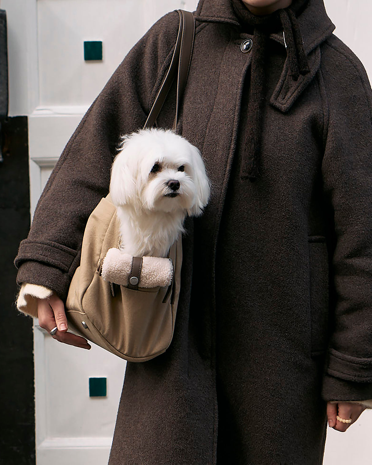 תיק נשיאה לכלב מכותנת קנבס דוחה מים | Tasca Dog Cotton Carrier Bag