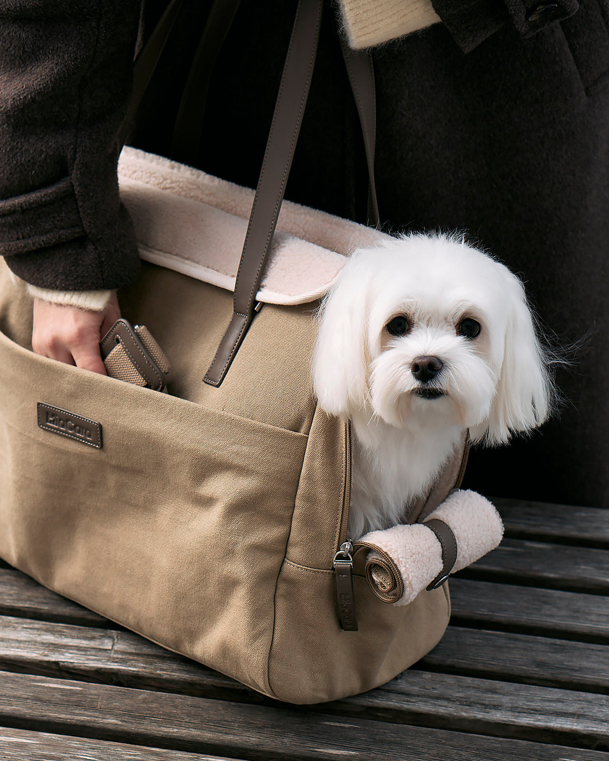 תיק נשיאה לכלב מכותנת קנבס דוחה מים | Tasca Dog Cotton Carrier Bag