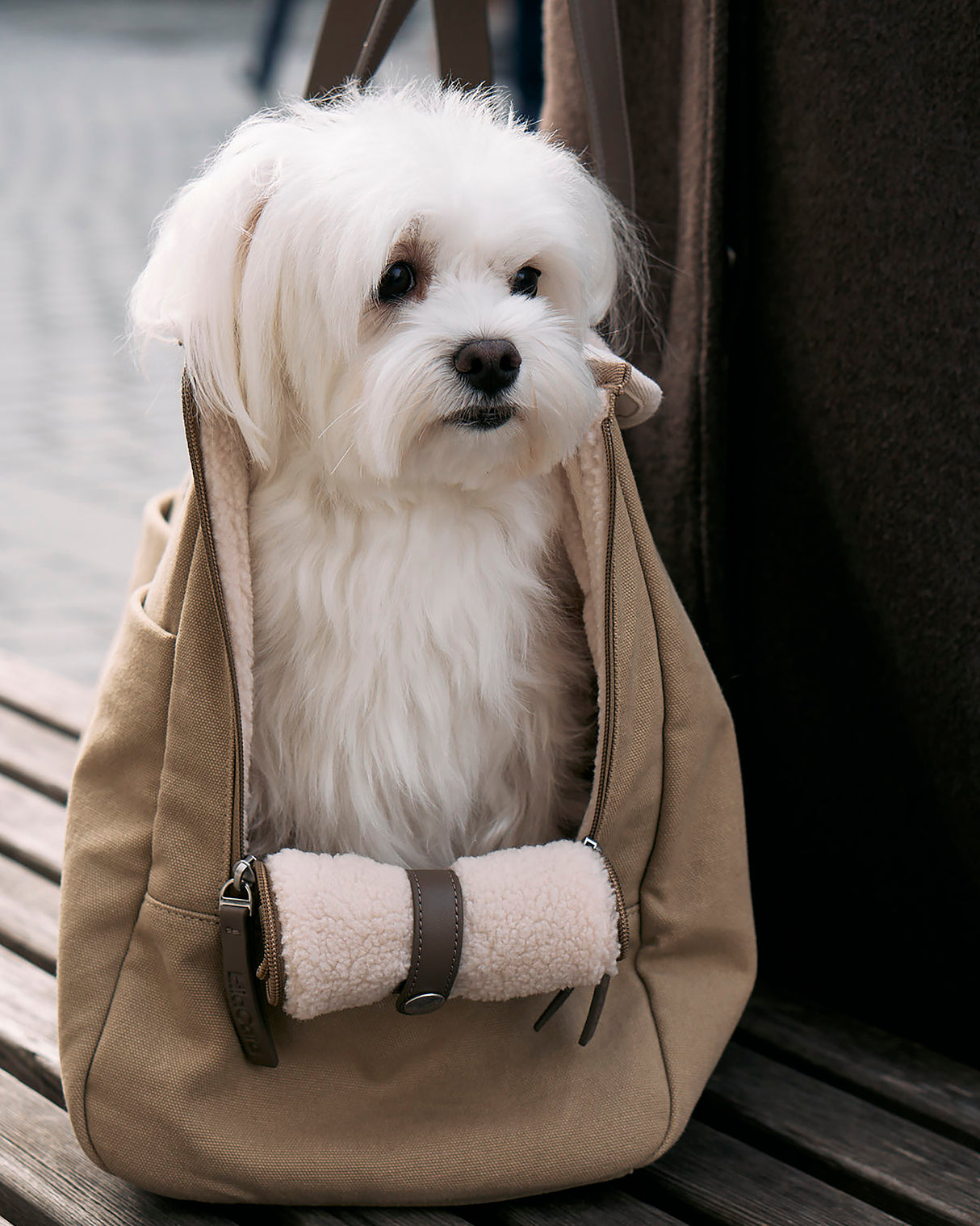 תיק נשיאה לכלב מכותנת קנבס דוחה מים | Tasca Dog Cotton Carrier Bag