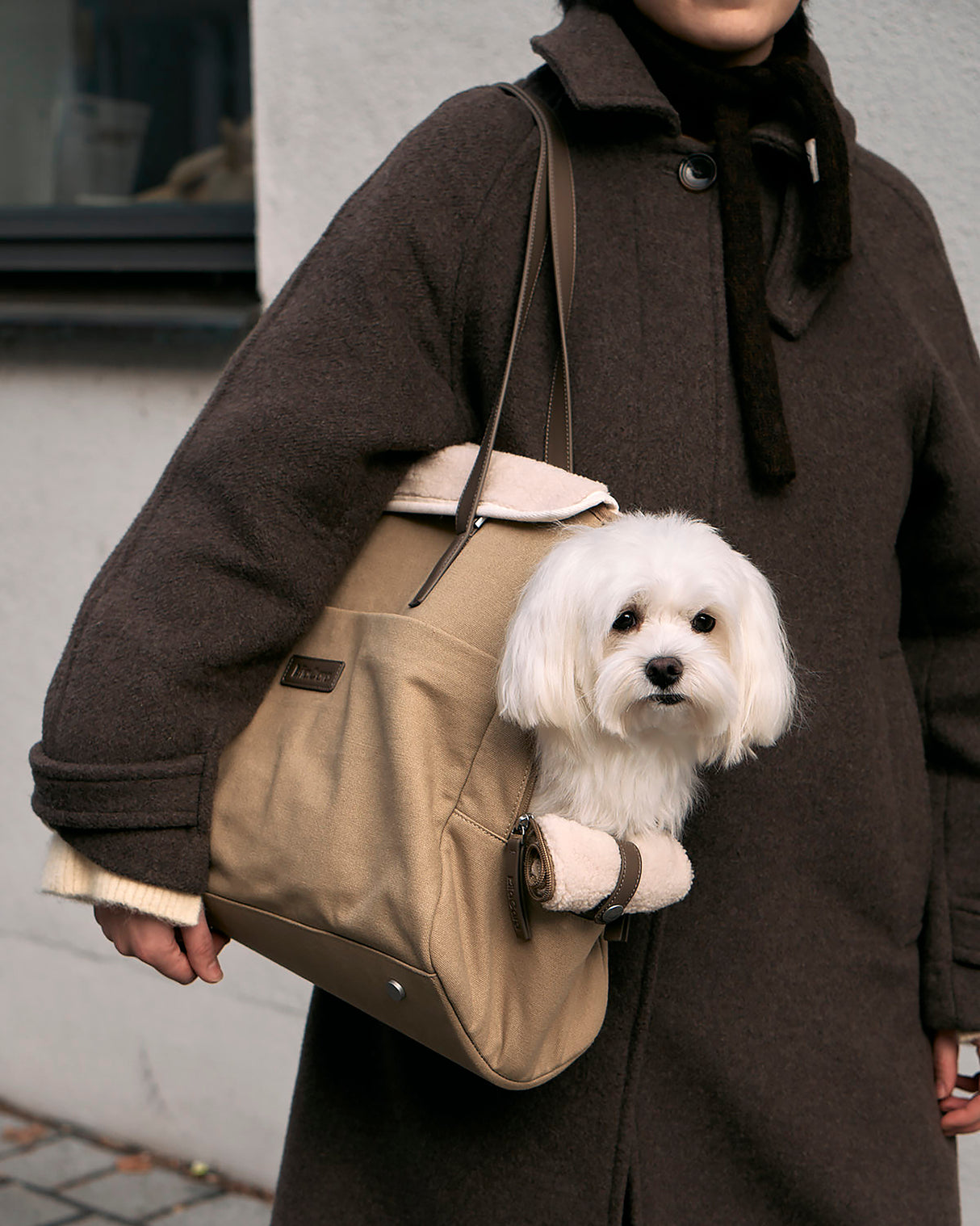 תיק נשיאה לכלב מכותנת קנבס דוחה מים | Tasca Dog Cotton Carrier Bag