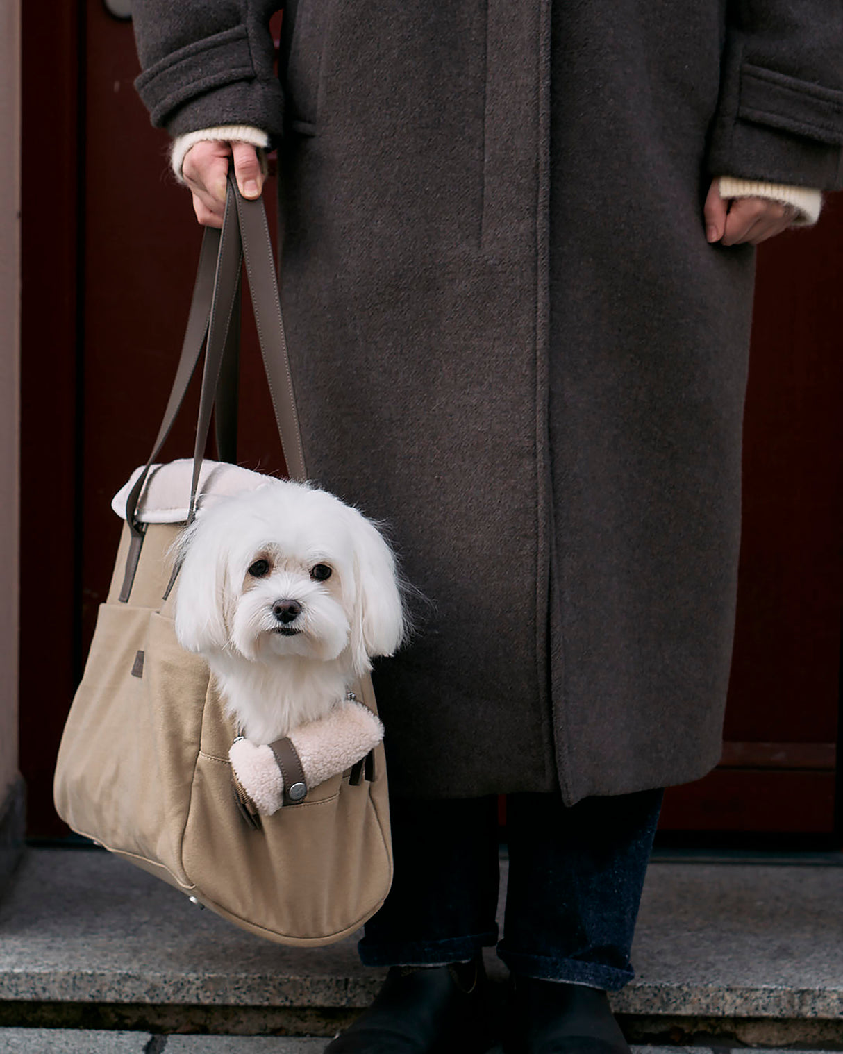 תיק נשיאה לכלב מכותנת קנבס דוחה מים | Tasca Dog Cotton Carrier Bag