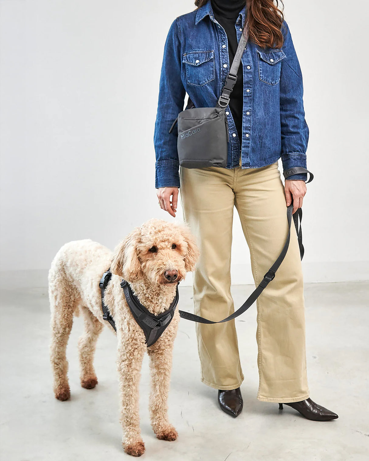 ANDIAMO OWNERS WALKING BAG | תיק הליכה לבעלי כלבים