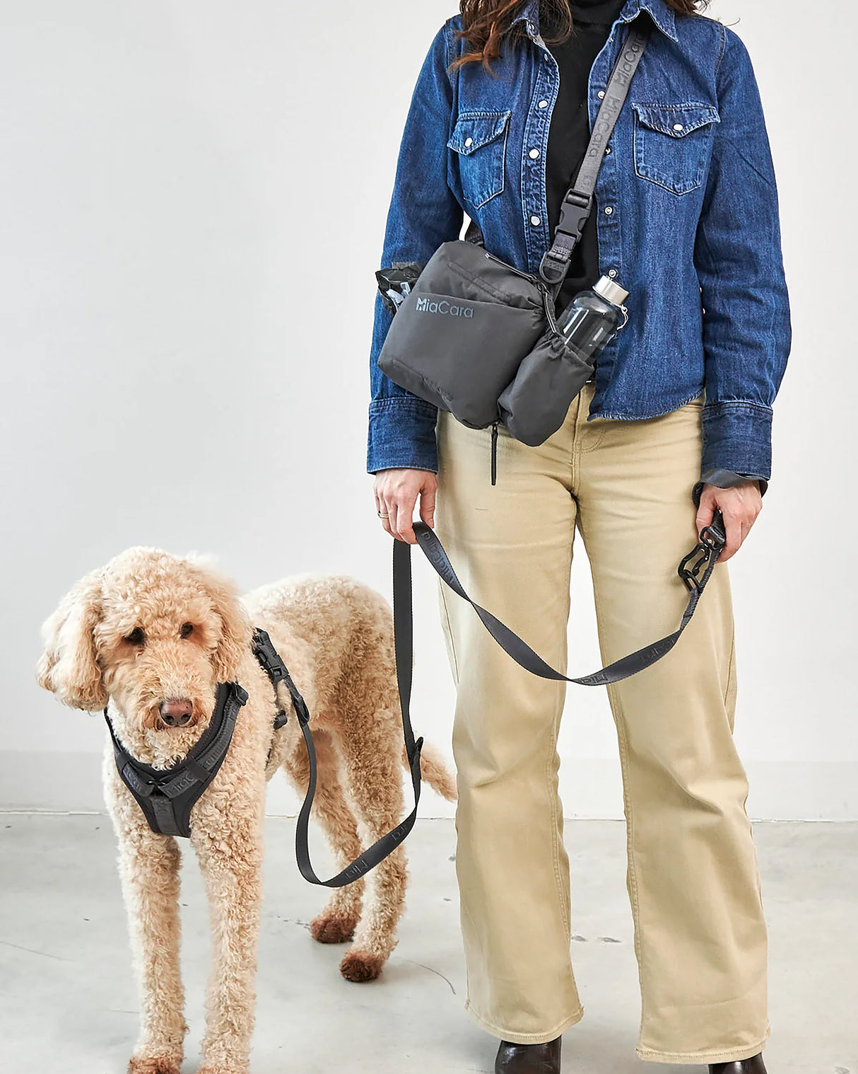 ANDIAMO OWNERS WALKING BAG | תיק הליכה לבעלי כלבים