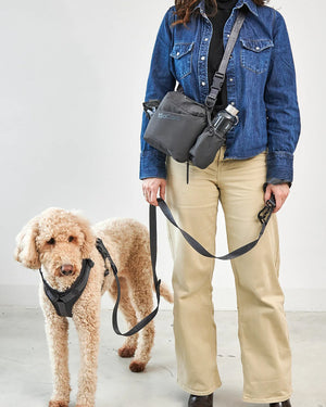 ANDIAMO OWNERS WALKING BAG | תיק הליכה לבעלי כלבים