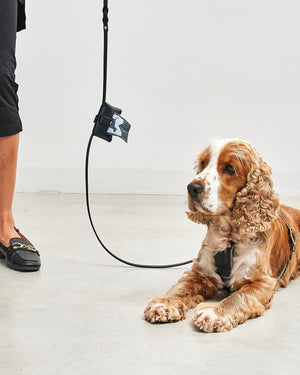 Pisa Leather Poo Bag Holder | נרתיק שקיות איסוף מעור