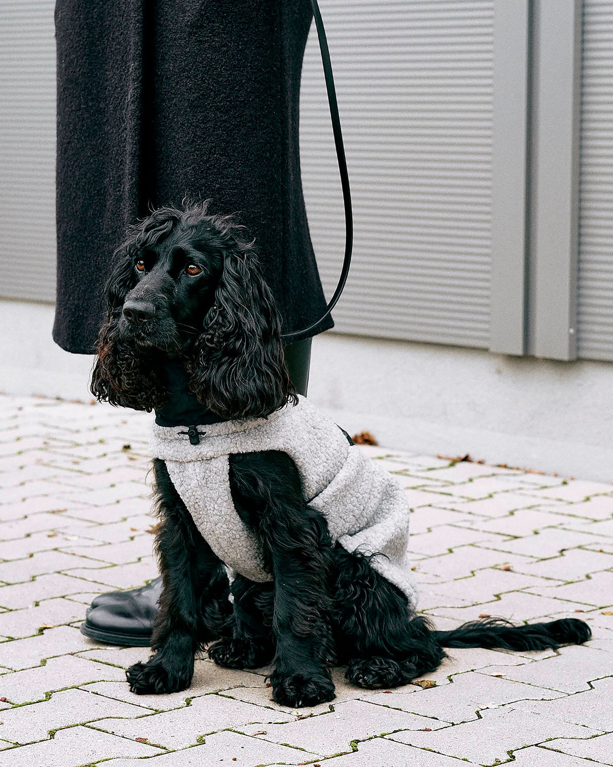 EMILIA DOG COAT | מעיל לכלב