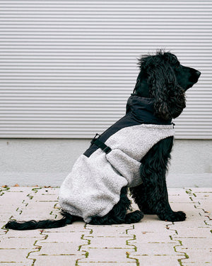 EMILIA DOG COAT | מעיל לכלב