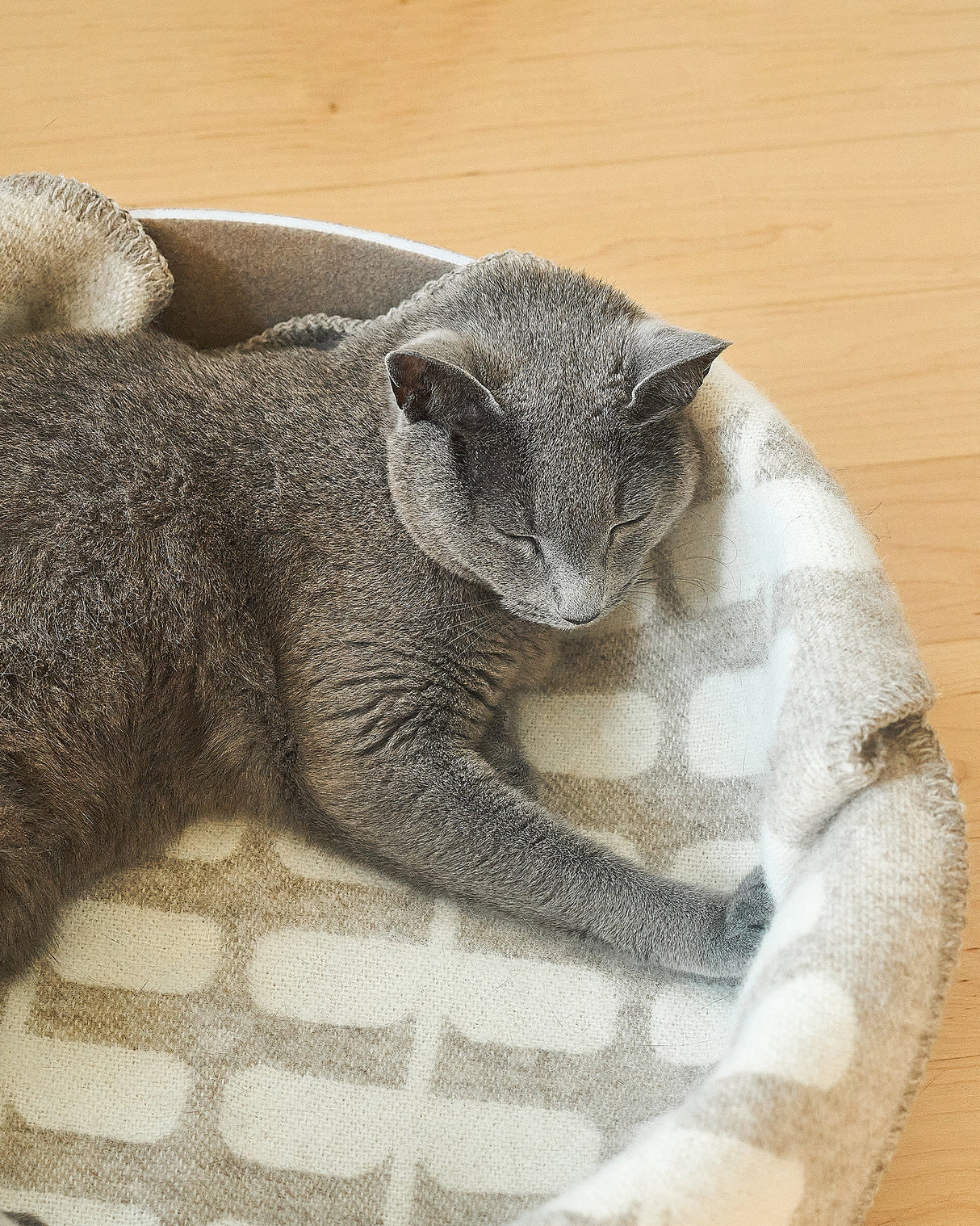 FLORA CAT WOOL BLANKET | שמיכה לחתול