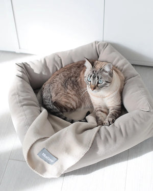 UNICA CAT BLANKET | שמיכת פליז לחתולים