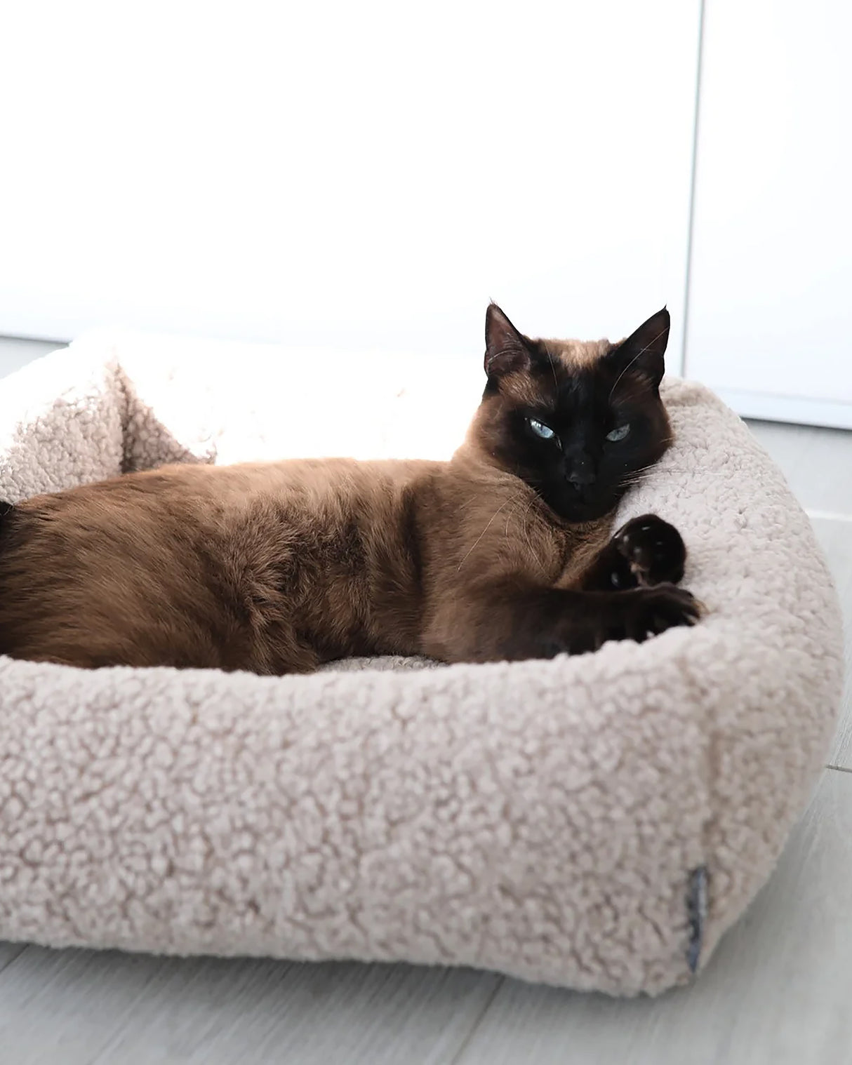 מיטת חתול סנסו | מיטה לחתול