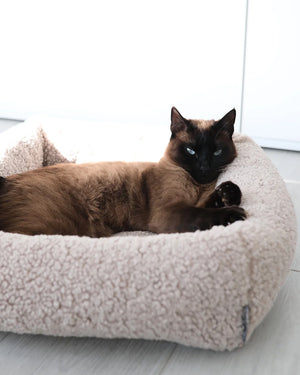 מיטת חתול סנסו | מיטה לחתול