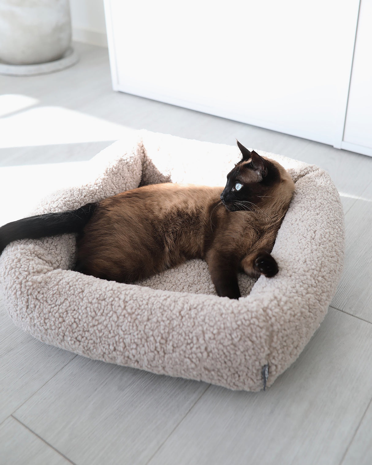 מיטת חתול סנסו | מיטה לחתול