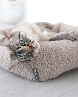 מיטת חתול סנסו | מיטה לחתול