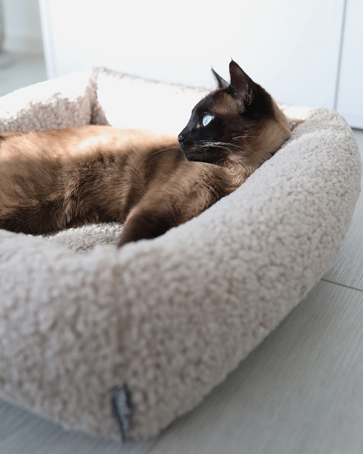 מיטת חתול סנסו | מיטה לחתול