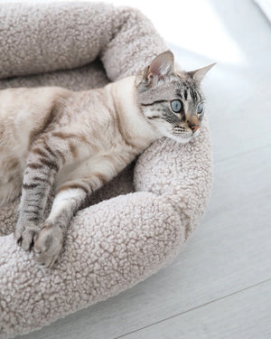 מיטת חתול סנסו | מיטה לחתול