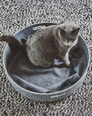 UNICA CAT BLANKET | שמיכת פליז לחתולים