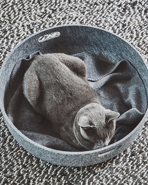 UNICA CAT BLANKET | שמיכת פליז לחתולים