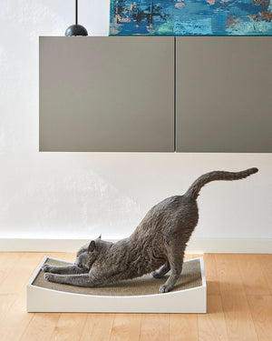 GRATTA CAT SCRATCHING BOARD | משטח גירוד לחתולים