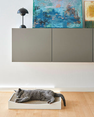 GRATTA CAT SCRATCHING BOARD | משטח גירוד לחתולים