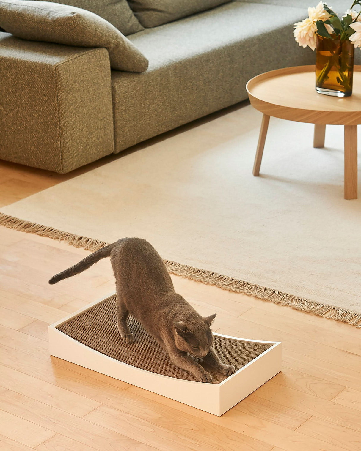 GRATTA CAT SCRATCHING BOARD | משטח גירוד לחתולים