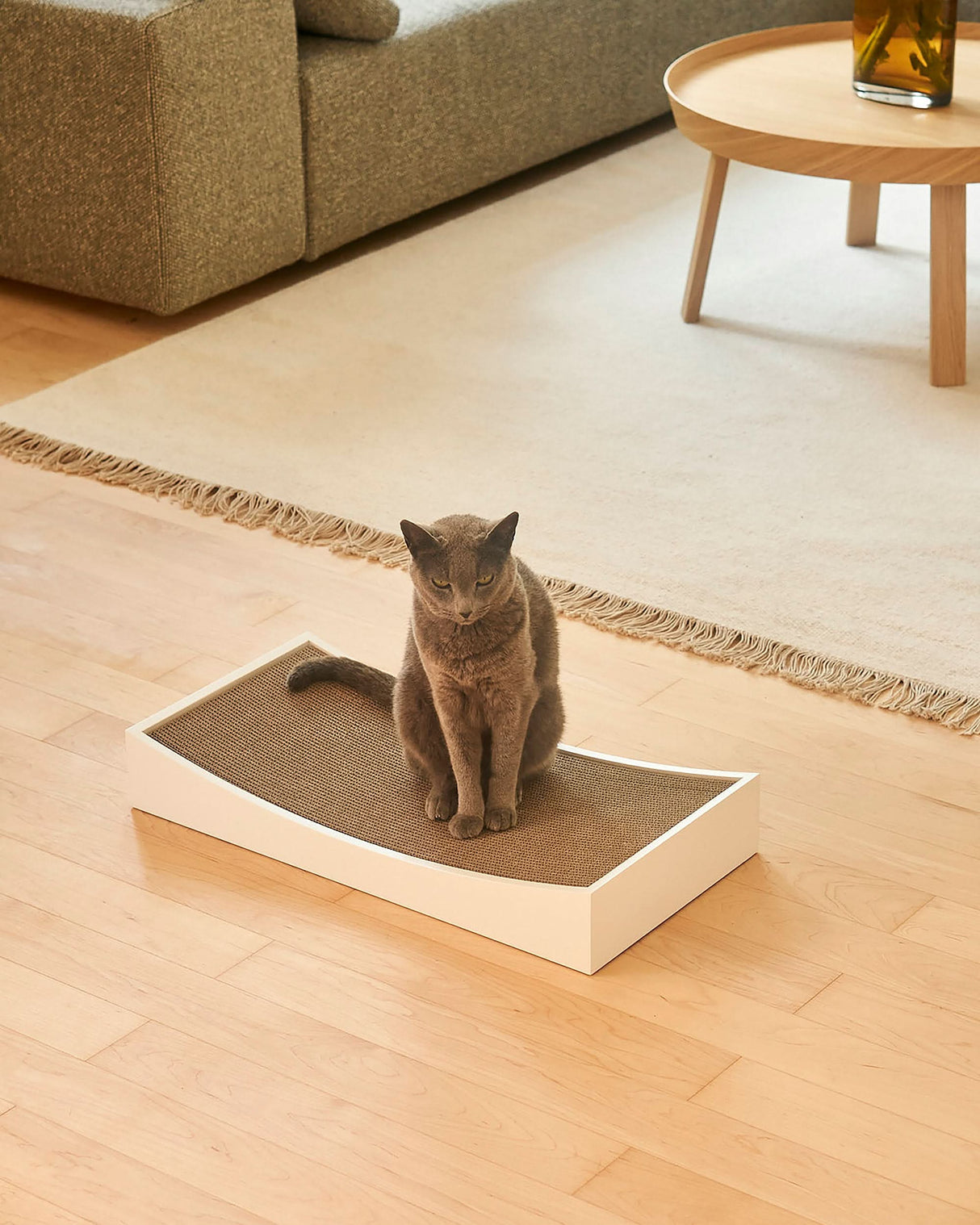 GRATTA CAT SCRATCHING BOARD | משטח גירוד לחתולים