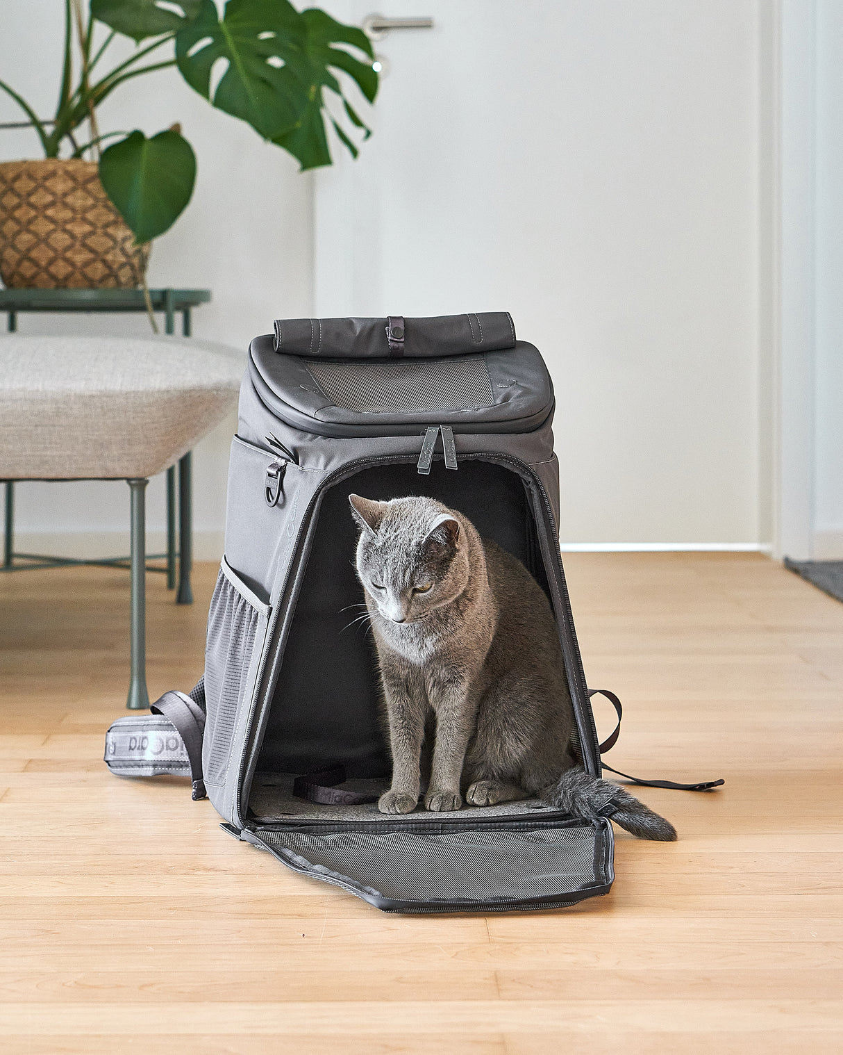 ZAINO DOG & CAT BACKPACK | תיק גב לנשיאה לכלבים ולחתולים
