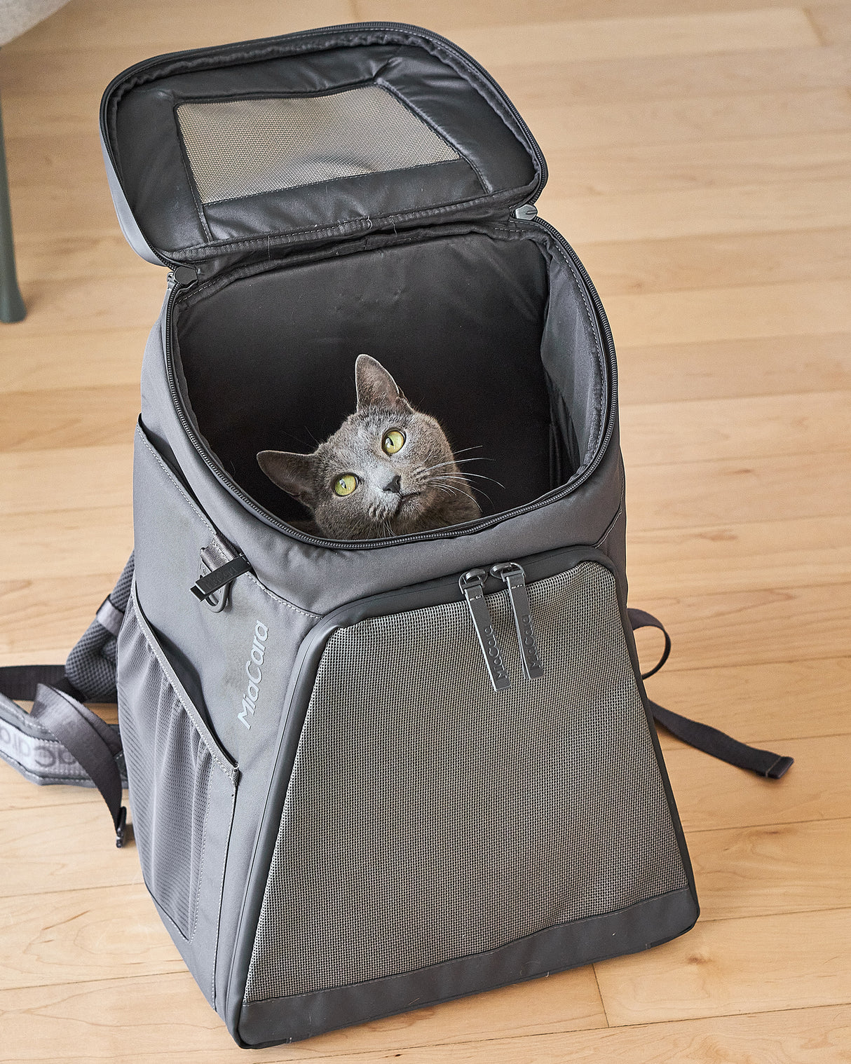 ZAINO DOG & CAT BACKPACK | תיק גב לנשיאה לכלבים ולחתולים