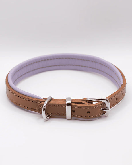 PADDED SOFT LEATHER COLLAR | קולר עור מרופד לכלב