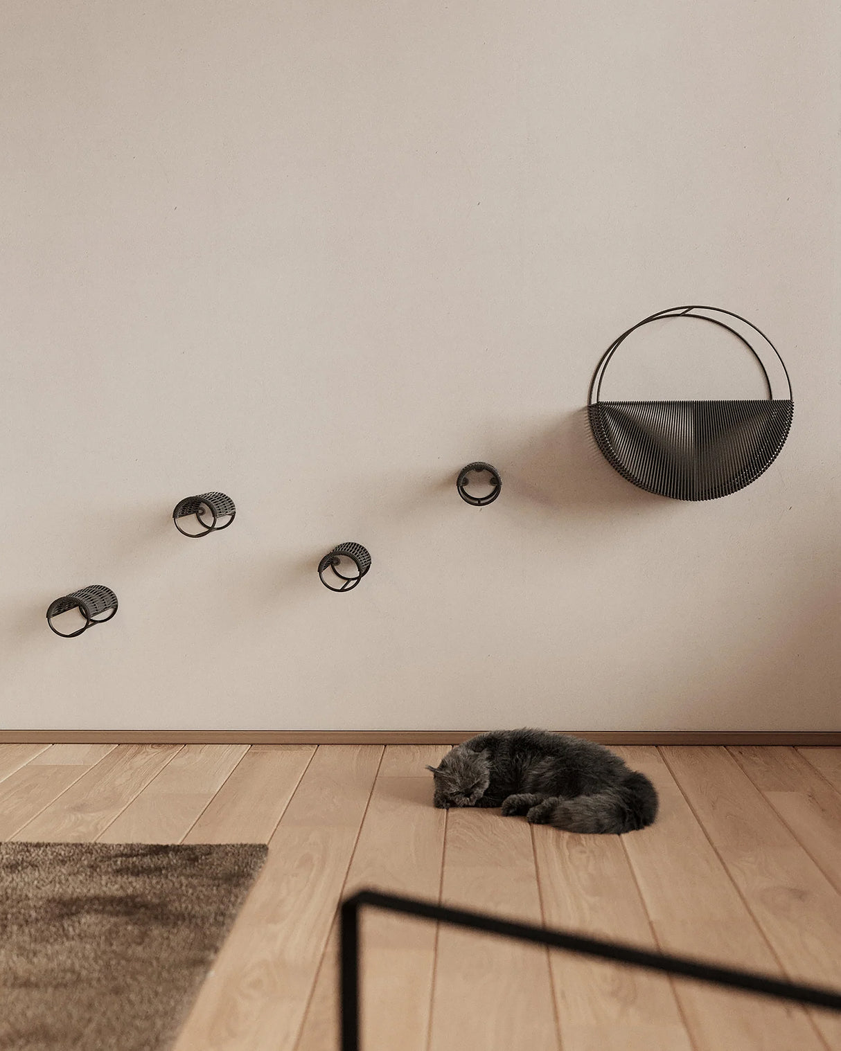 GRADIANO WALL NEST CLIMBING FOR CATS  | מתקן טיפוס ושינה לחתולים