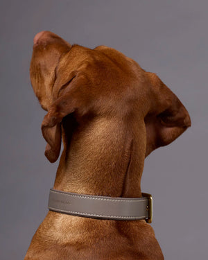 Luxe Smooth Leather Dog Collar | קולר עור נאפה לכלב