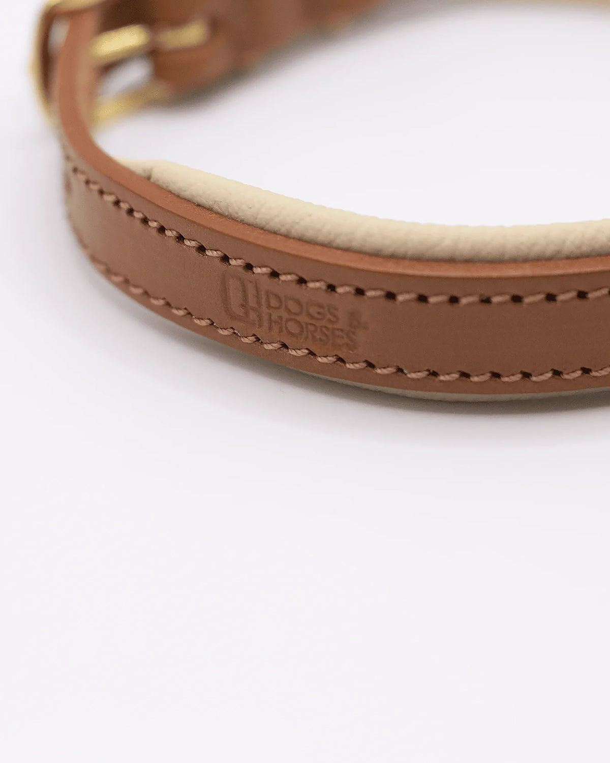 PADDED SOFT LEATHER COLLAR | קולר עור מרופד לכלב