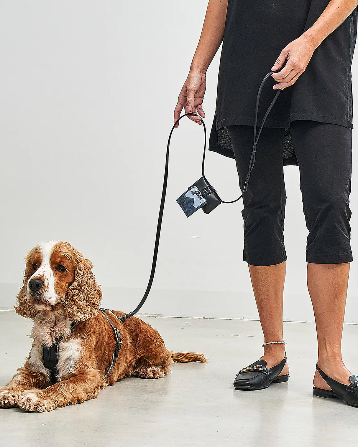 Rimini Dog Leather City-Leash | רצועת עור לכלב