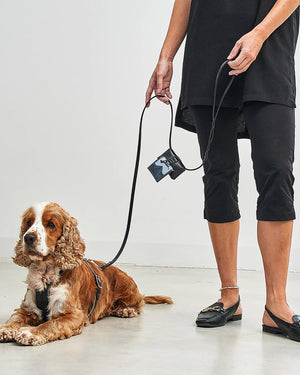 Rimini Dog Leather City-Leash | רצועת עור לכלב