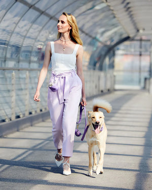 Plain Leather Poo Bag Holder | נרתיק שקיות איסוף מעור